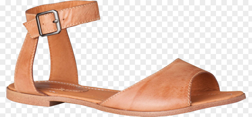 Sandcastle Slipper Sandal Shoe Footwear PNG