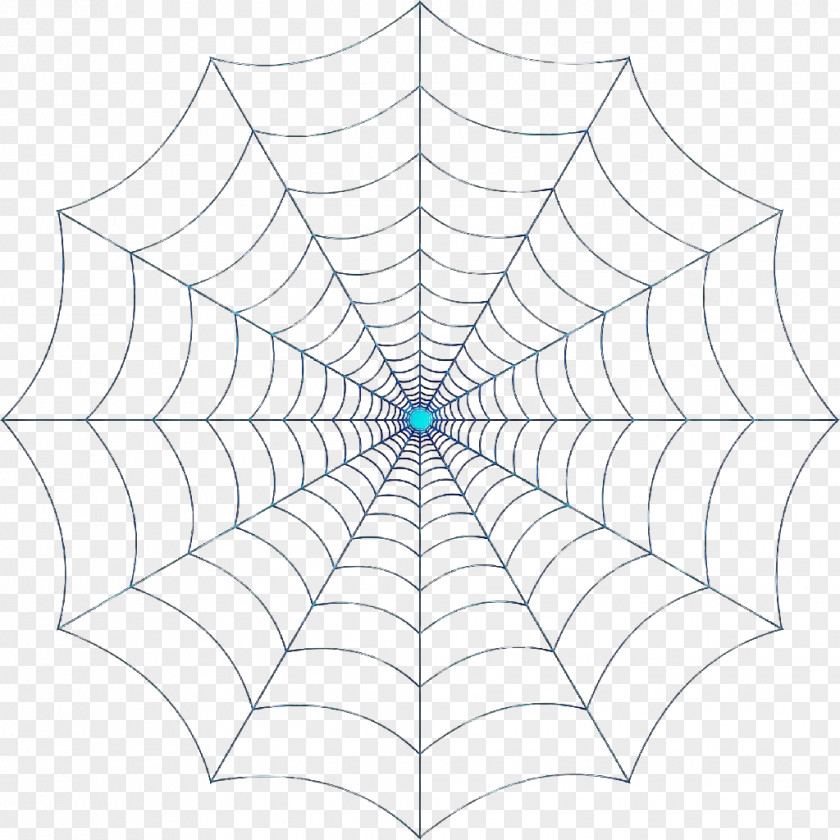 Spider Web Symmetry PNG