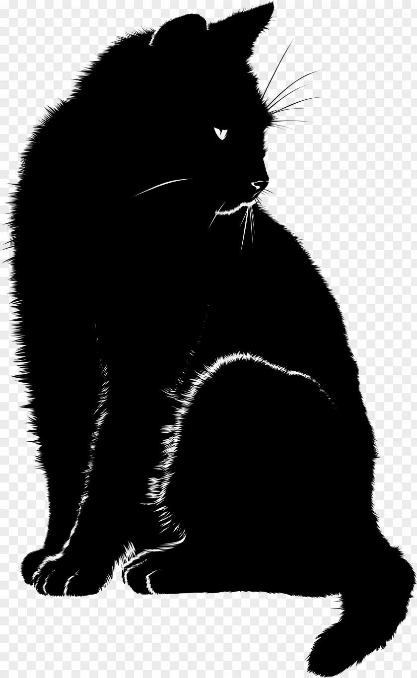 Black Cat Bombay Domestic Short-haired Dream Wildcat PNG