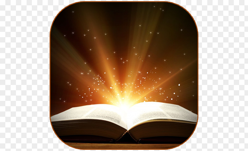 Book Bible Writing Novel Reading PNG