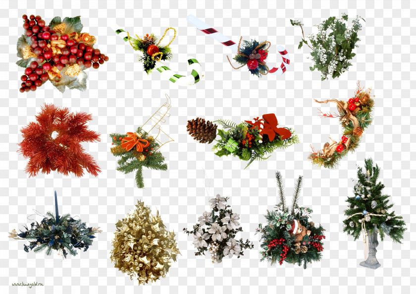 Christmas Tree New Year Holiday Ornament PNG