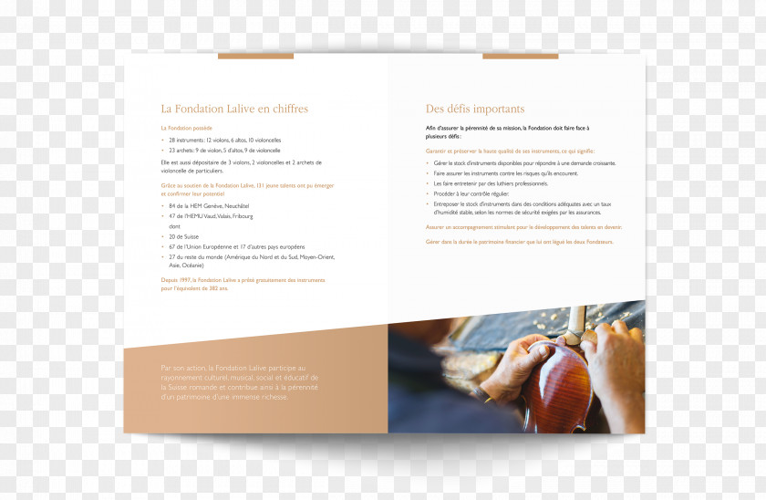 Design Brand Brochure PNG