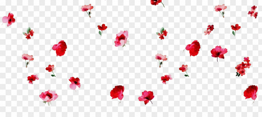 Floral Design PNG