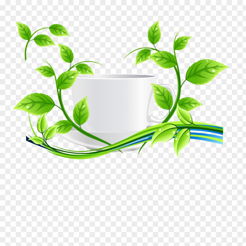 Green Tea Euclidean Vector Leaf PNG