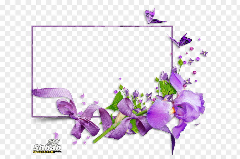 Mauve Flowers Floral Design تهنئة Birthday PNG