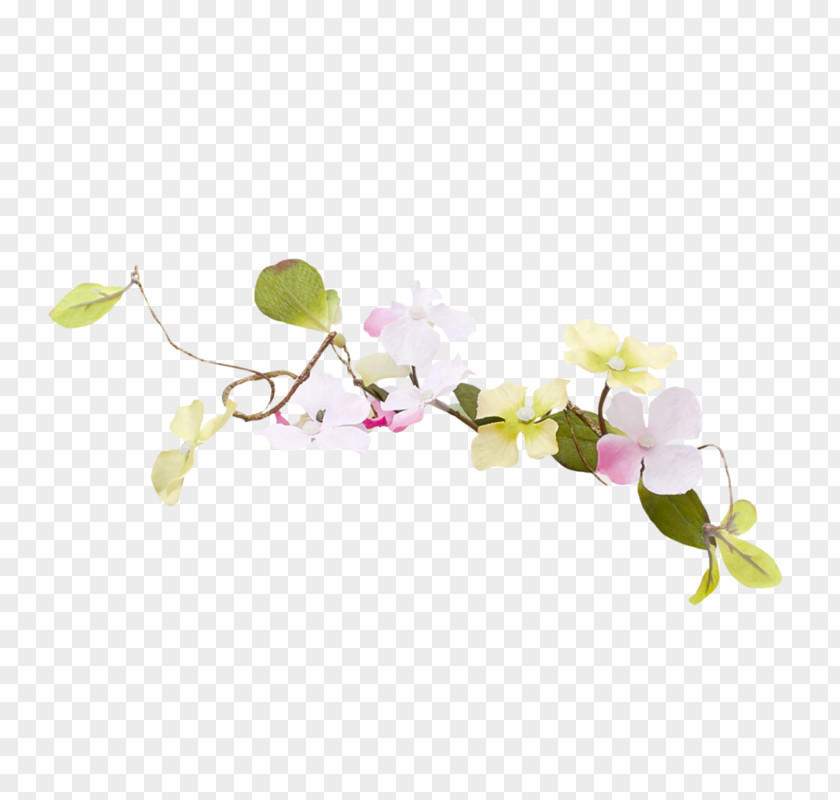 Flouers Easter Flower ST.AU.150 MIN.V.UNC.NR AD Floral Design Moth Orchids PNG