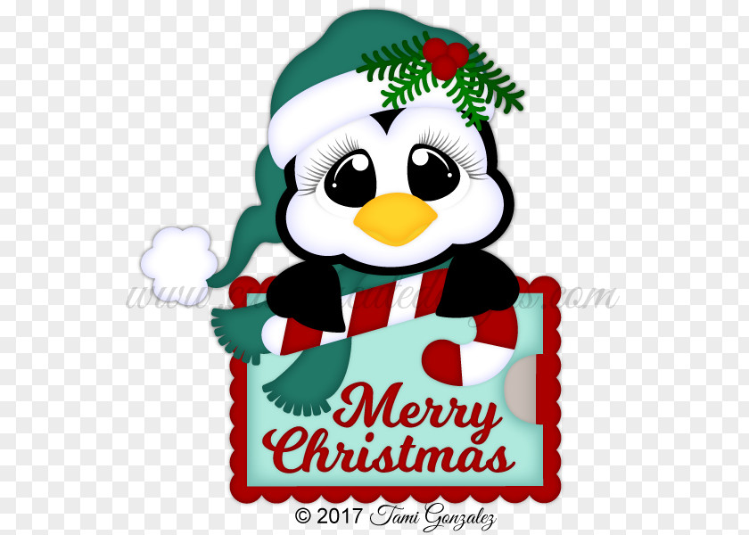Gift Card Santa Claus Christmas Ornament PNG