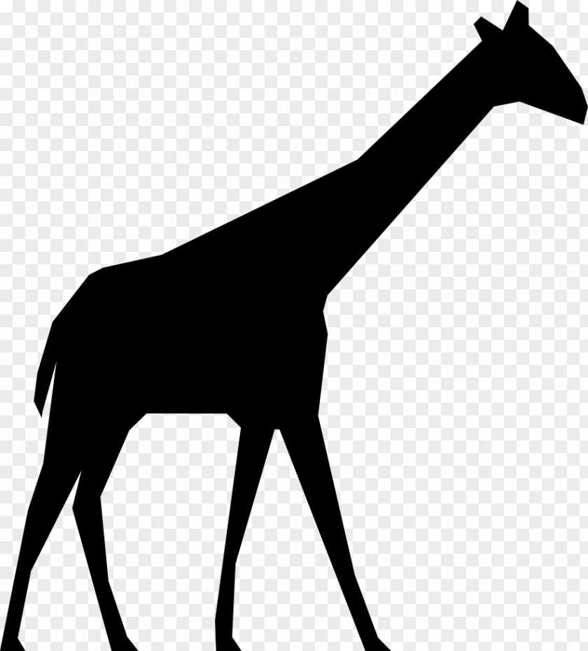 Giraffe Vector Graphics Clip Art Image Silhouette PNG