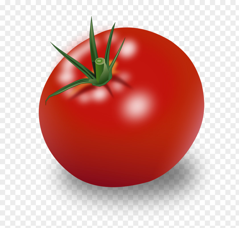 Vegetable Cherry Tomato Clip Art PNG