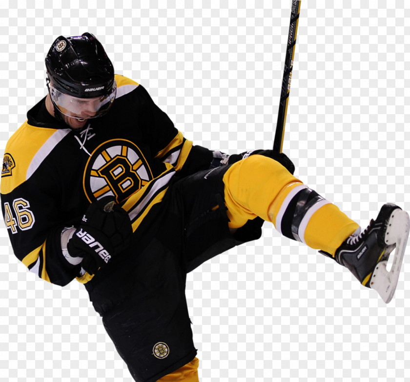 Boston Bruins Bear Chris Creamers National Hockey League Ice PNG