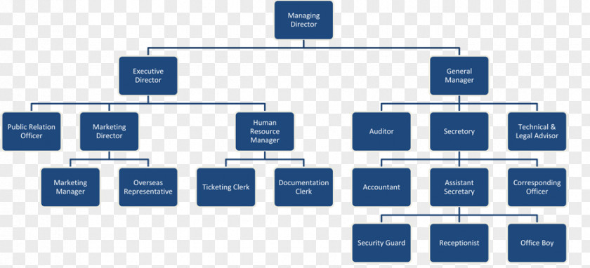 Business Chart Publicity Pictures Organizational Structure Management PNG