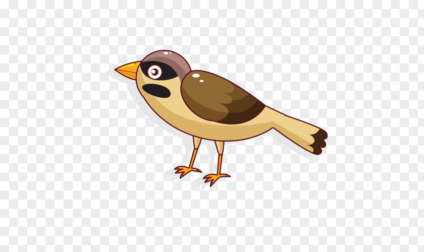 Cartoon Sparrow Bird Parrot Clip Art PNG