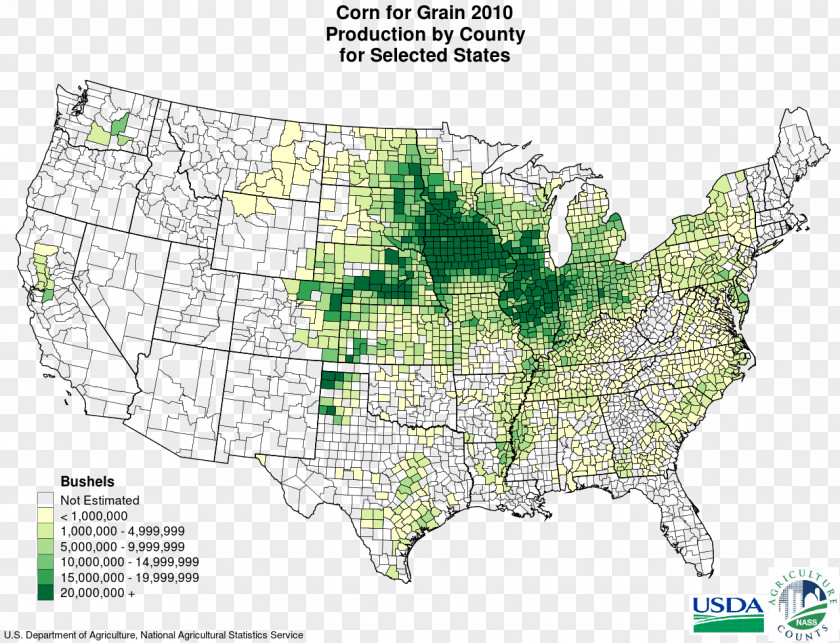 Corn Grain Belt Midwestern United States Maize Production In The Crop PNG