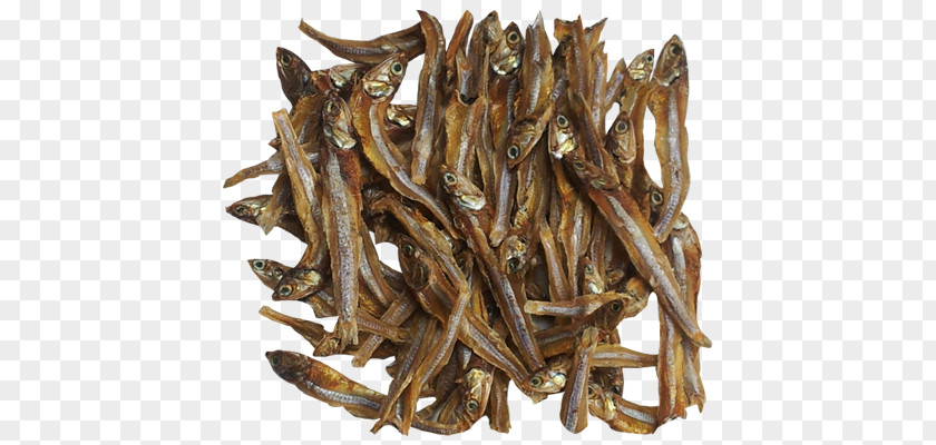 Dried Fish Frozen Food Products Anchovy Company PNG