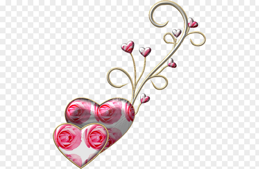 Heart Leaf Cut Flowers PNG