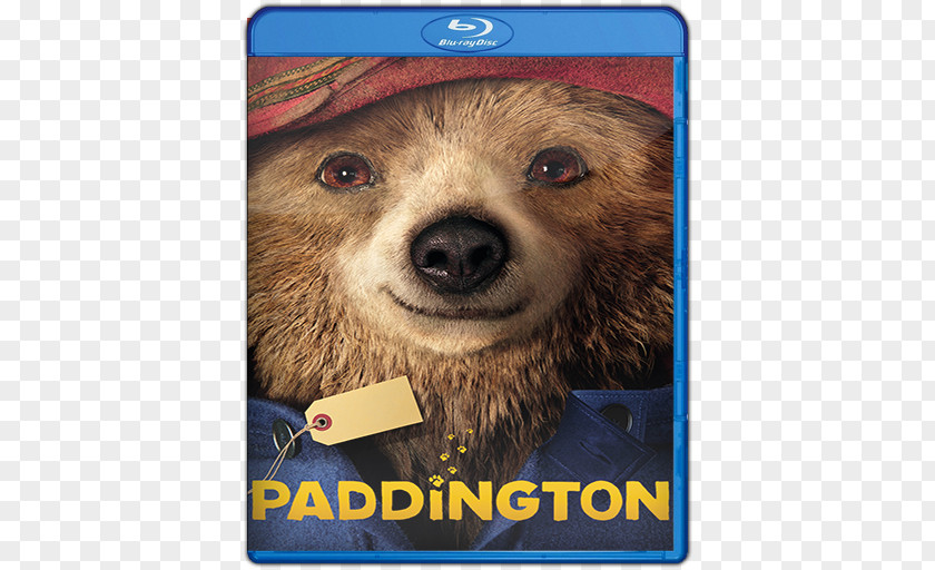Paddington Bear Film Poster Cinema PNG