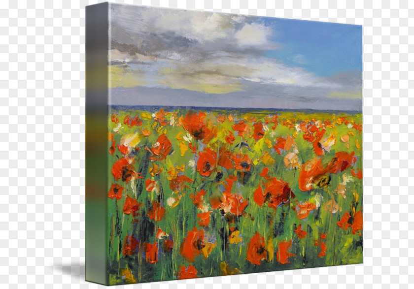 Poppy Field Poppies Painting Canvas Print PNG
