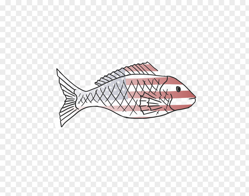 Tunnel Vision Northern Red Snapper Vertebrate Graphic Design Graphics PNG