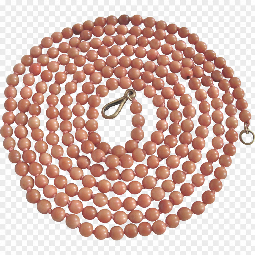Conch Jewellery Pearl Necklace PNG