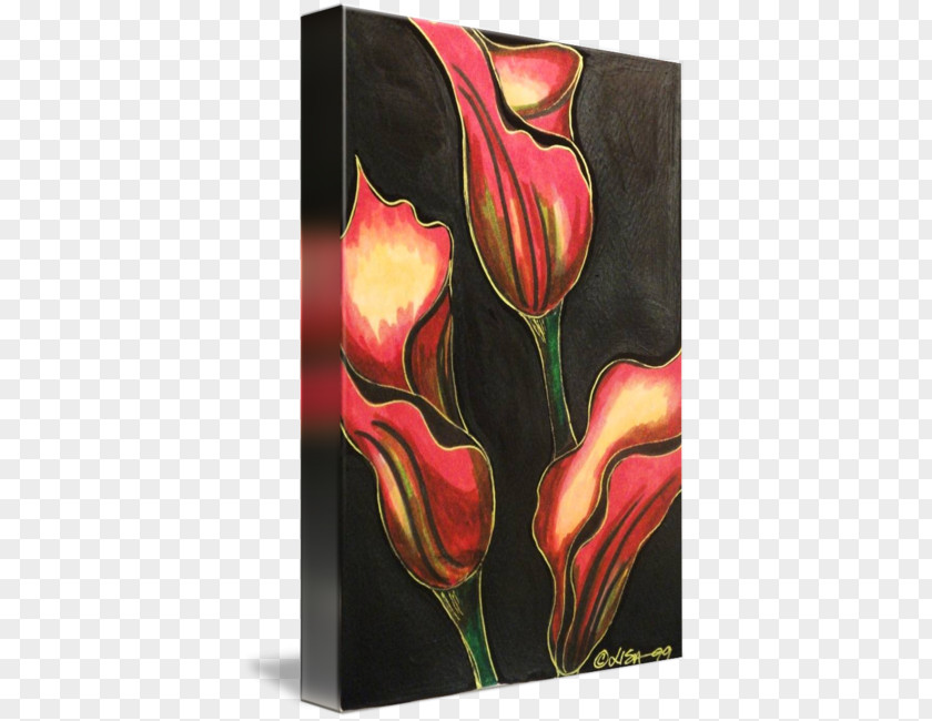 Fire Glow Modern Art Acrylic Paint Still Life Photography Tulip PNG