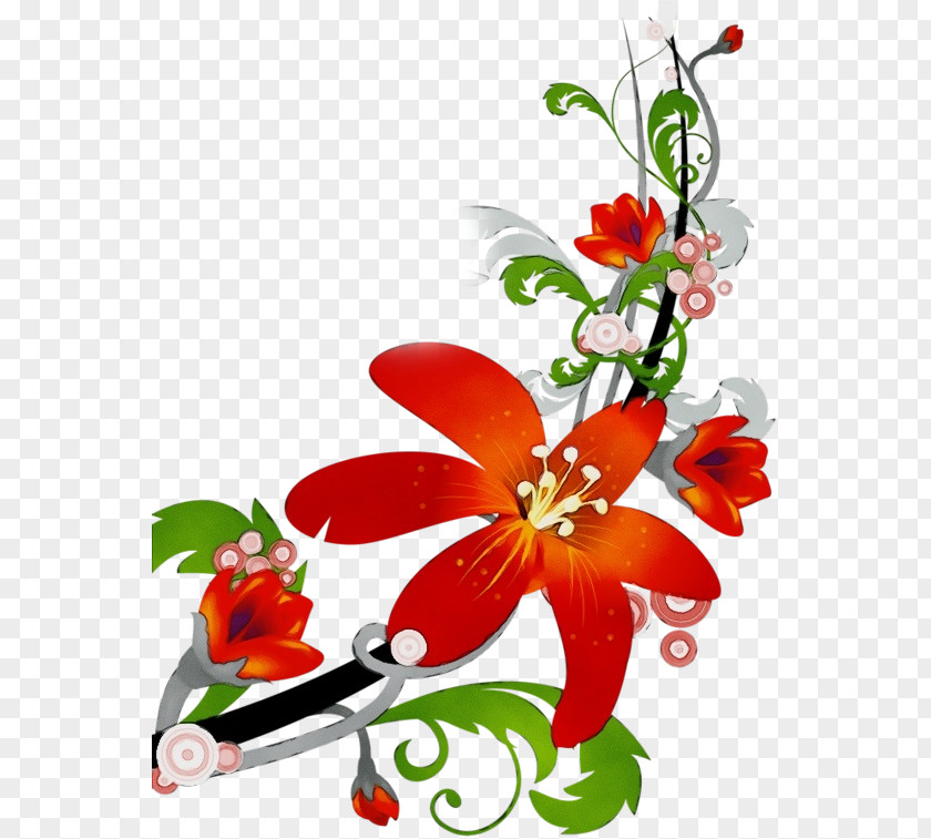 Flowering Plant Petal Flower Clip Art Red Cut Flowers PNG