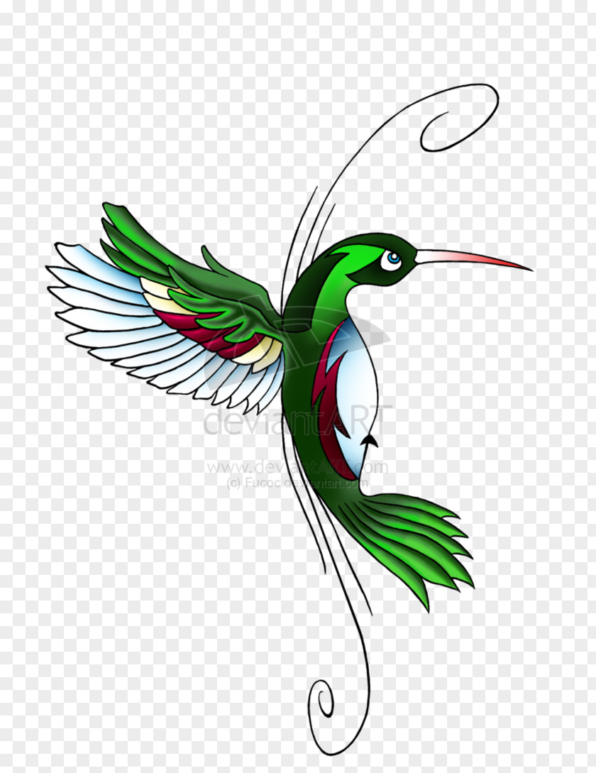 Hummingbird Tattoos Download Feather Wing Beak Illustration PNG