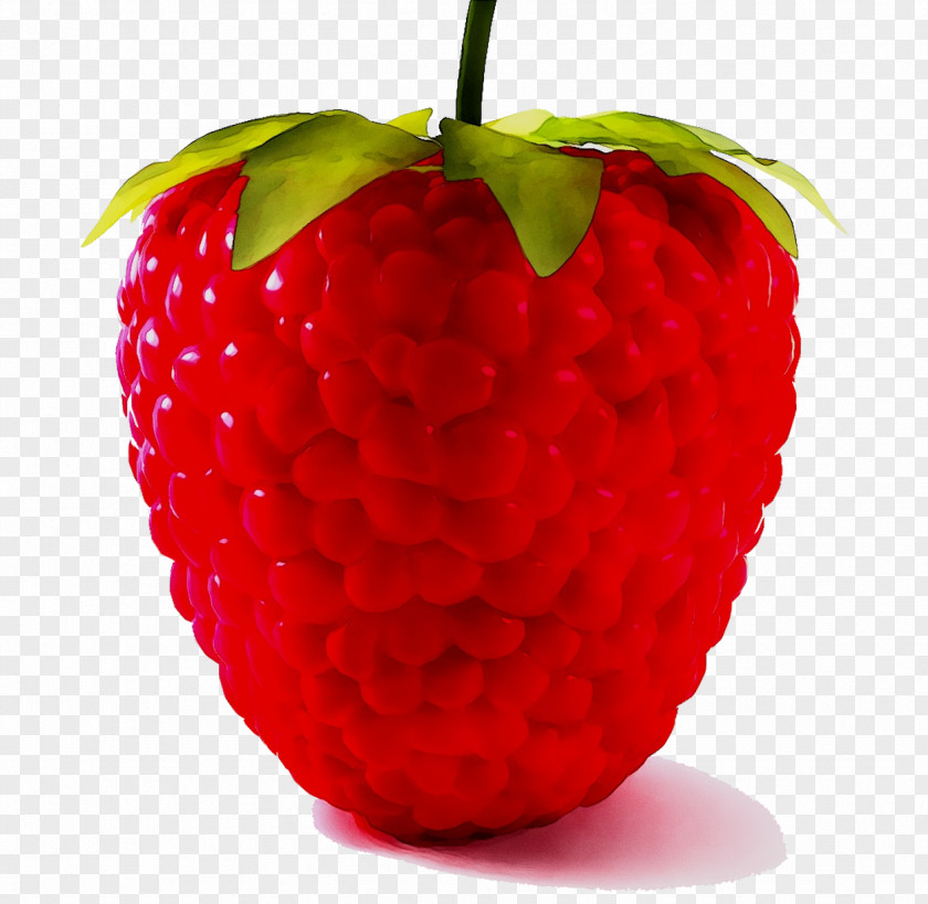 Raspberry Pie Clip Art Image PNG