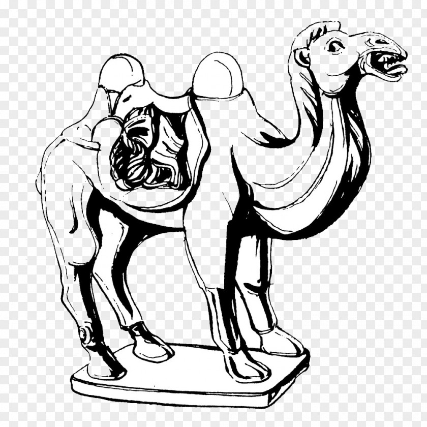 3 Rodadas Camel Sculpture Painting Drawing Illustration PNG