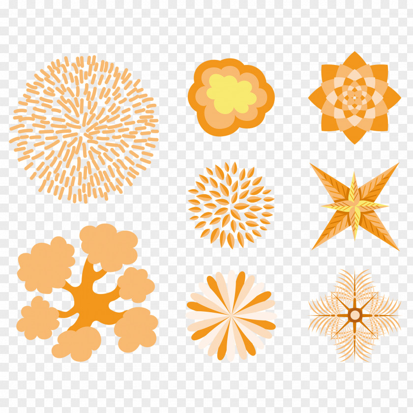 Bahia Orange Vector Graphics Image Illustration Drawing PNG