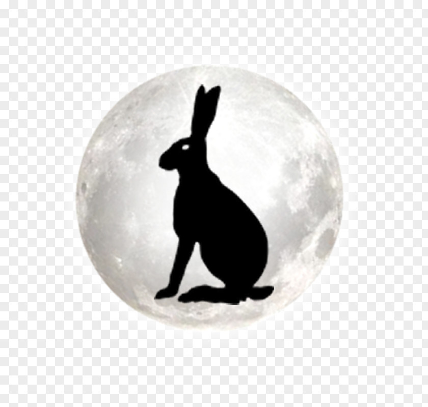 Bright Hare Stonehenge Free Festival Dog Silhouette PNG