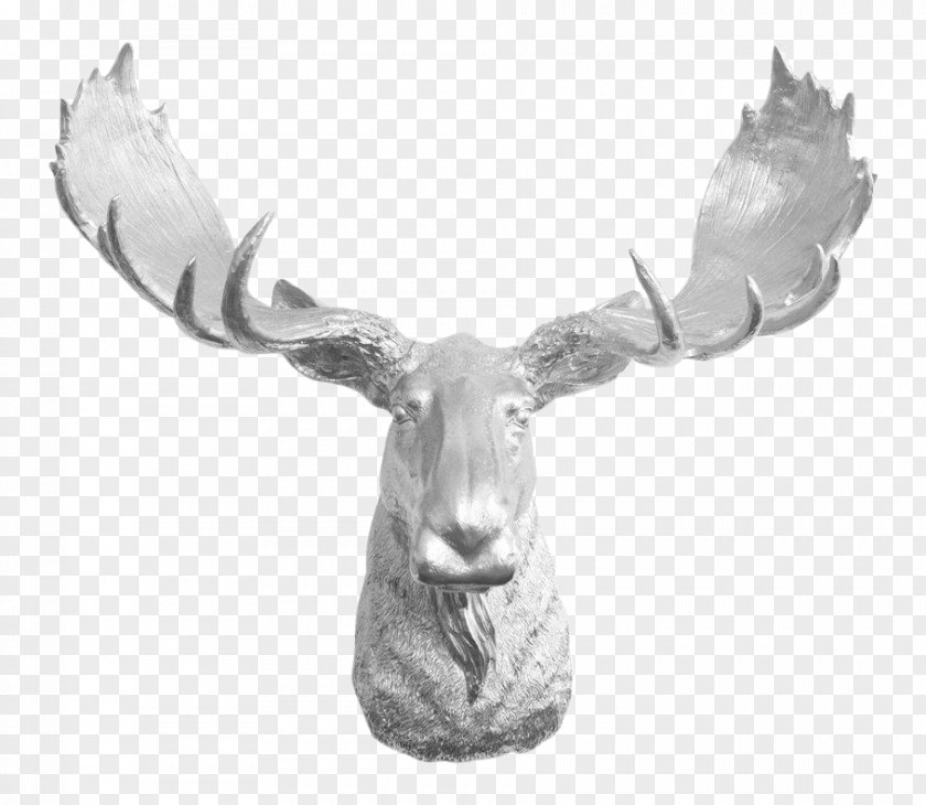 Deer Moose Reindeer Antler Elk PNG