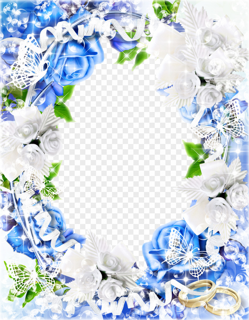 Frame Pattern Design Material Picture Photography PNG