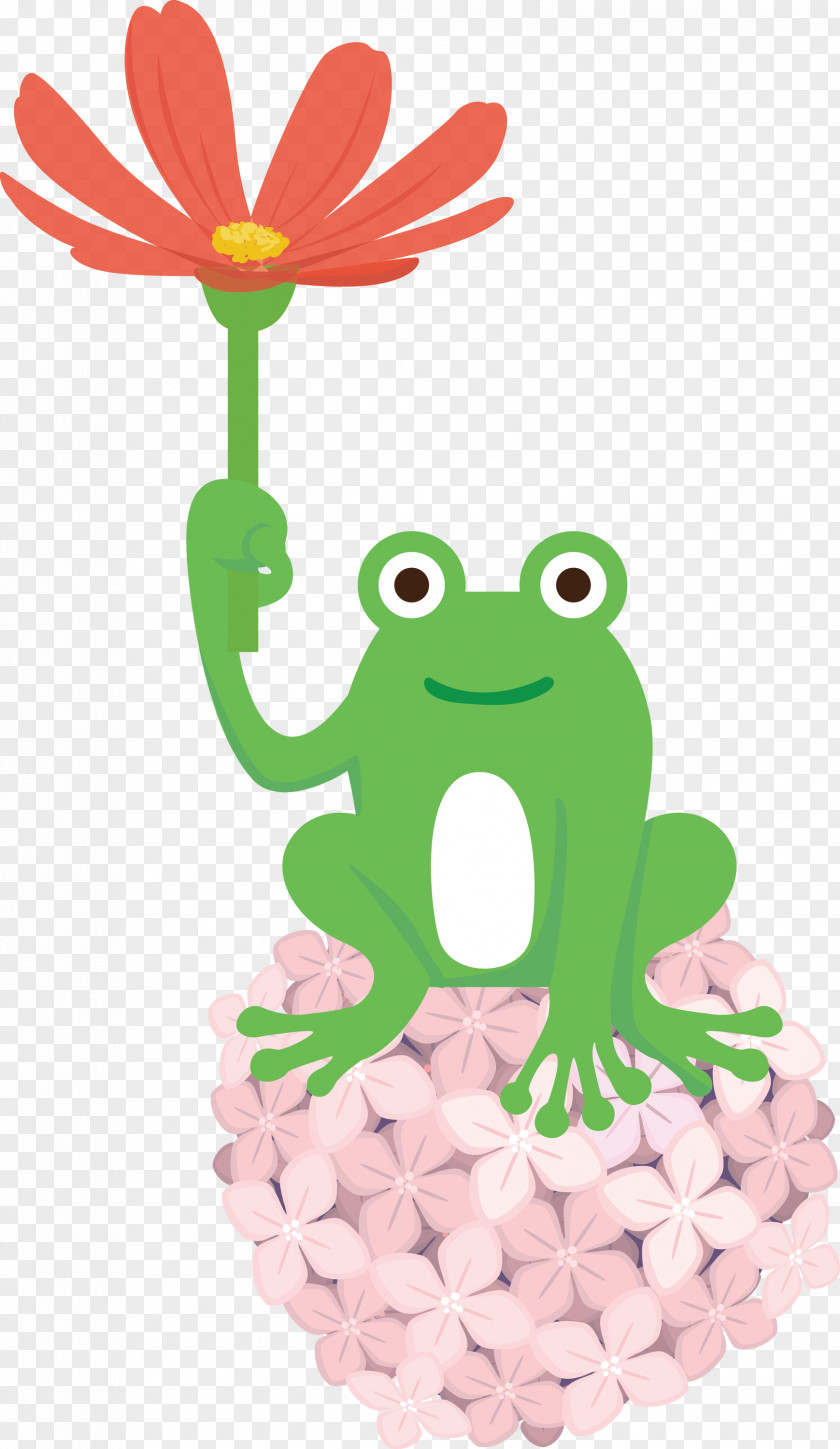 Frogs Cartoon Tree Frog Flower Science PNG