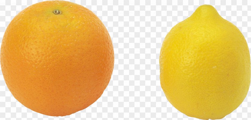 Lemon Mandarin Orange Clip Art PNG