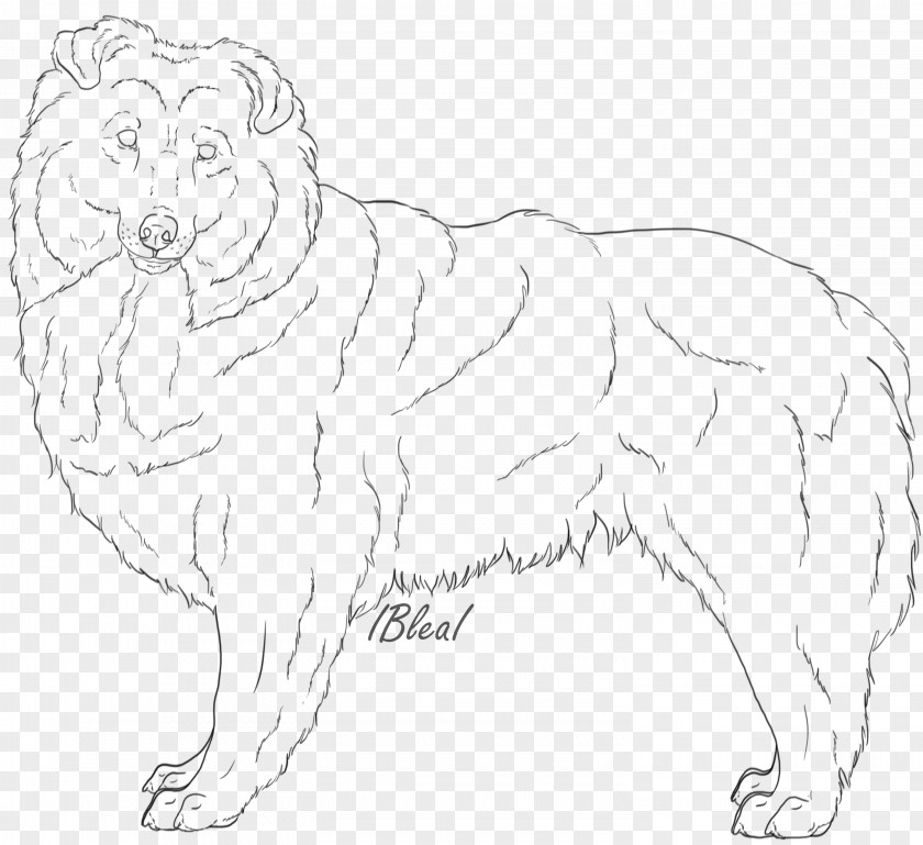 Lion Dog Breed Whiskers Cat PNG