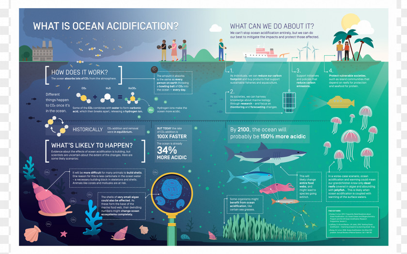 Seawater Ocean Acidification Global Warming Carbon Dioxide PNG
