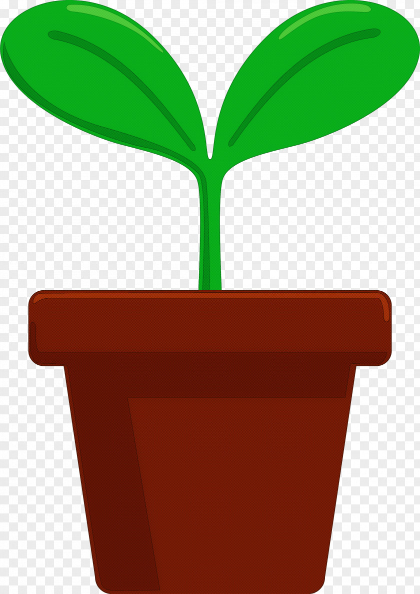 Sprout Bud Seed PNG