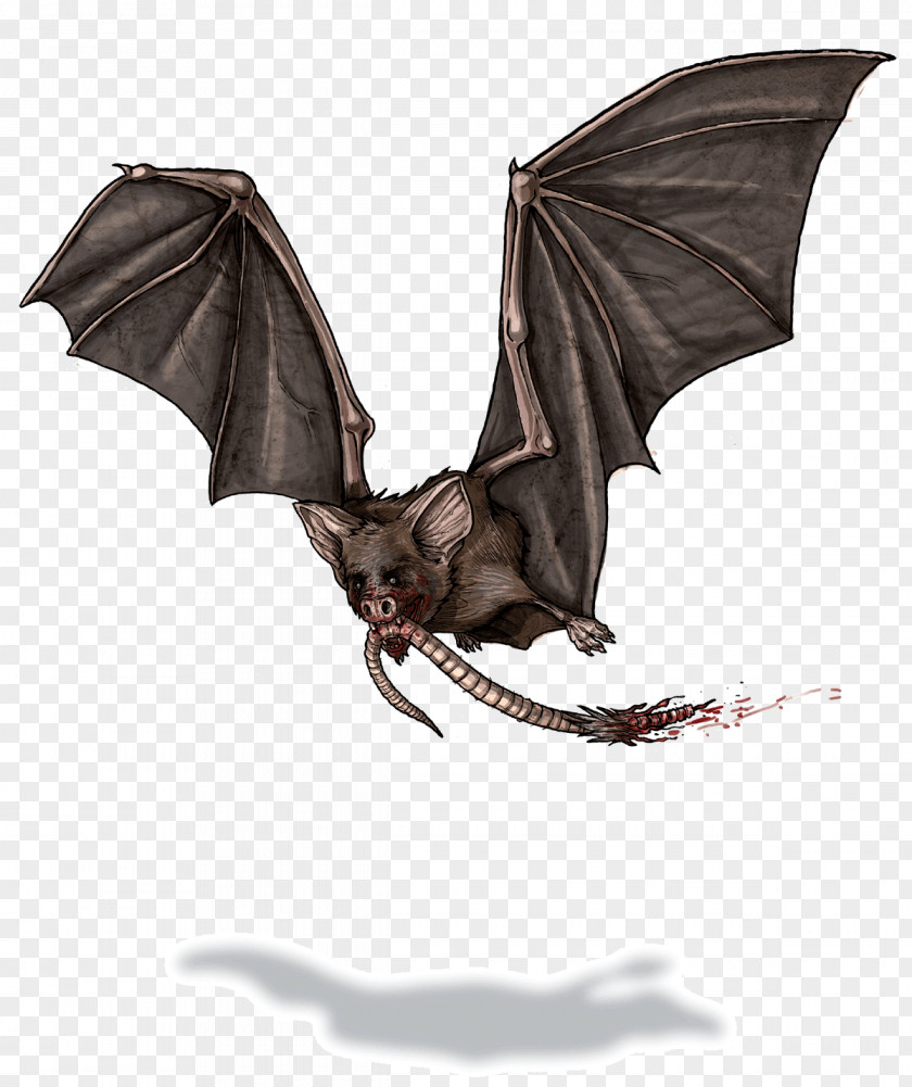 Bat And Rat Role-playing Game Dungeons & Dragons PNG