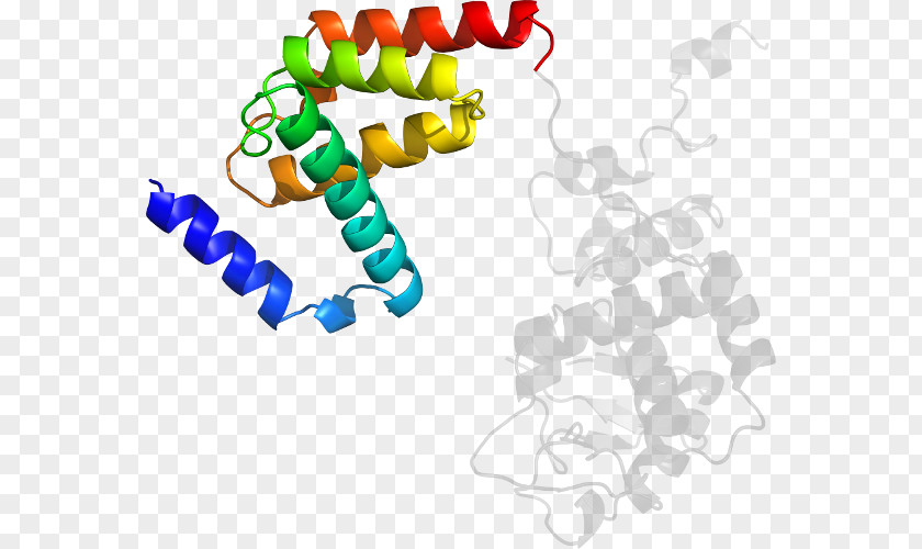 Design Protein Structure Clip Art PNG