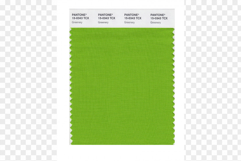 Pantone Green Color United States 0 PNG