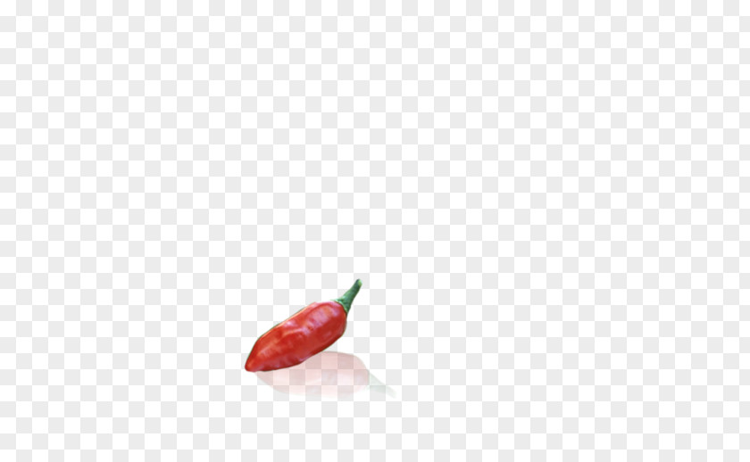 Pepper Cartoon Bird's Eye Chili Serrano Tabasco Cayenne PNG