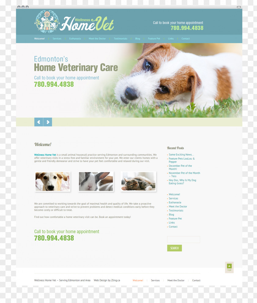 Puppy Dog Breed Web Design PNG