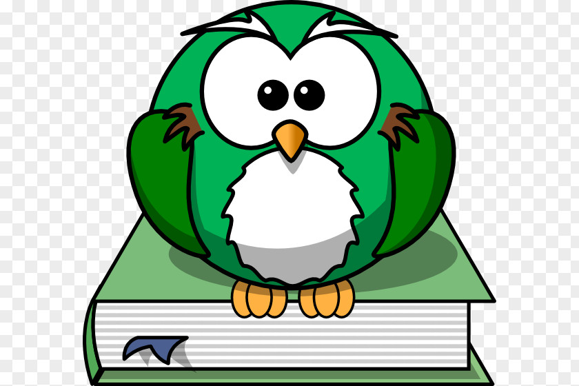 Reading Owl Cliparts Cartoon Clip Art PNG