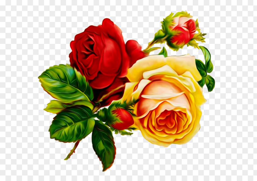 Rose Vintage Roses: Beautiful Varieties For Home And Garden Floral Design Flower Clip Art PNG