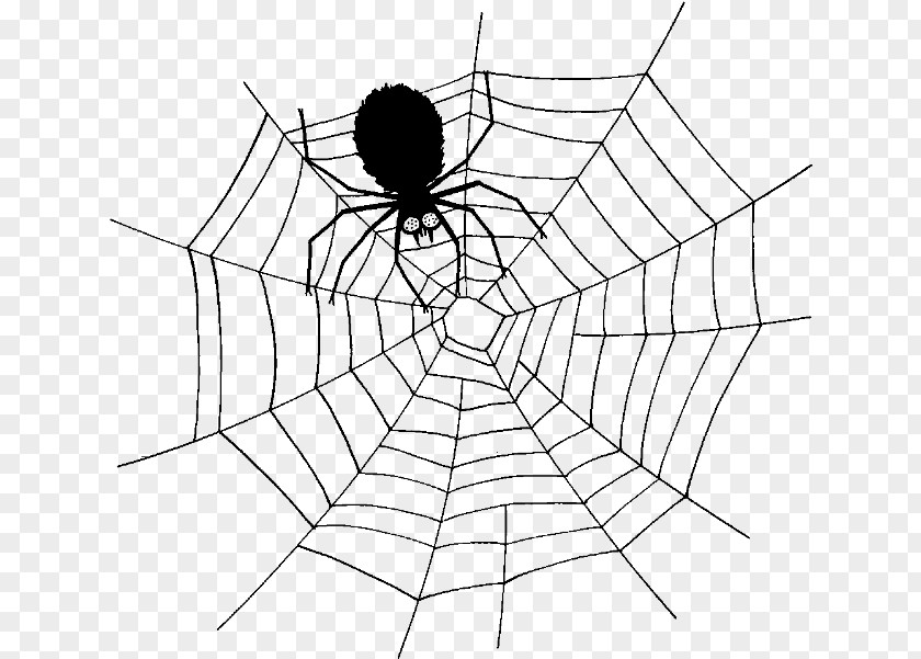 Spider Web Circular Clip Art Vector Graphics PNG