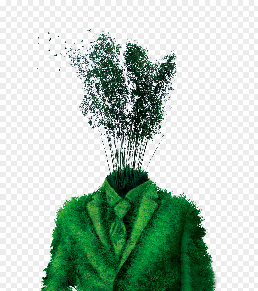 Tree Suit Download Icon PNG