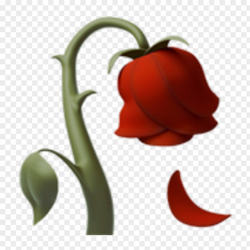 Blume Sign Emoji Domain Sticker Emojipedia Image PNG