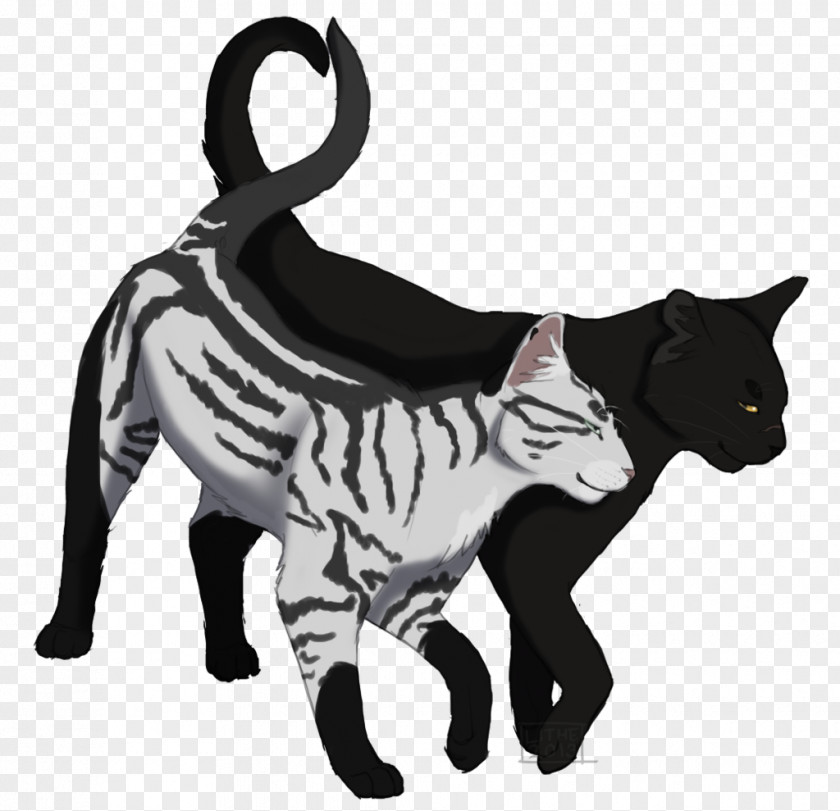 Cat Whiskers Domestic Short-haired Warriors Art PNG
