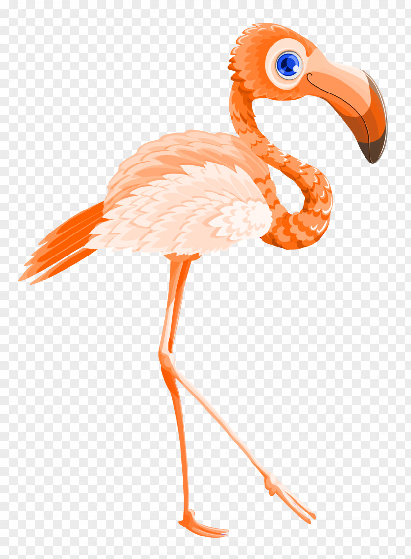 Flamingo Bird Vector Valentines Day PNG