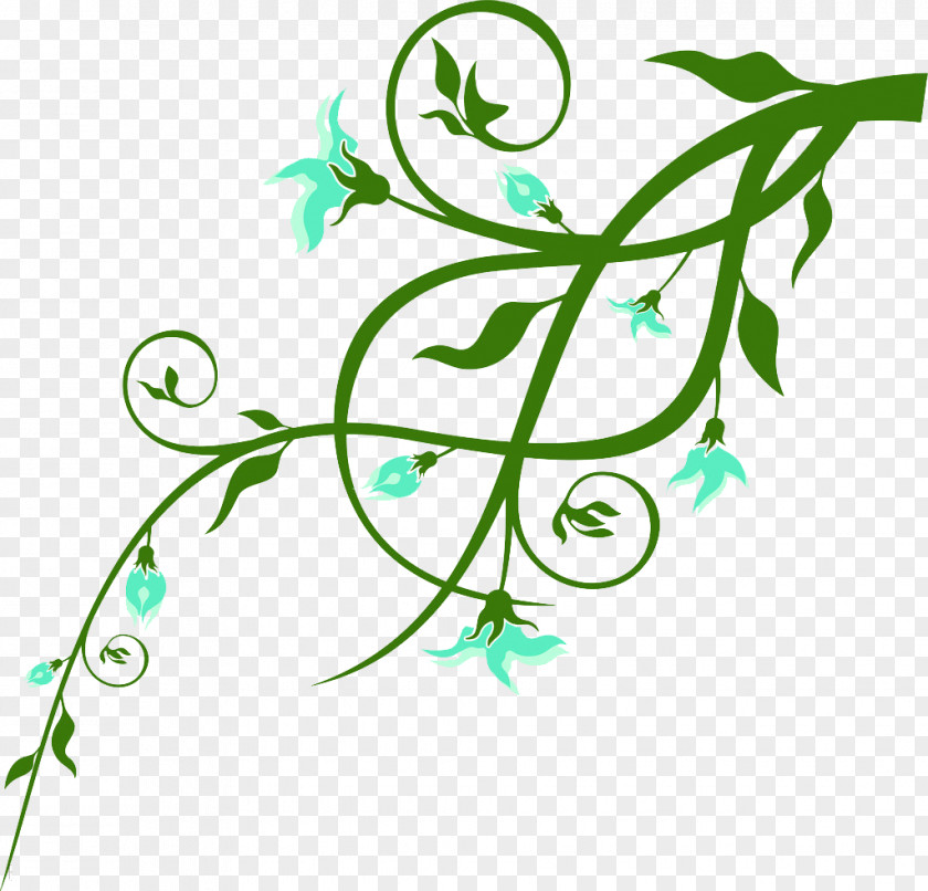 Flowers Line Green Blue PNG